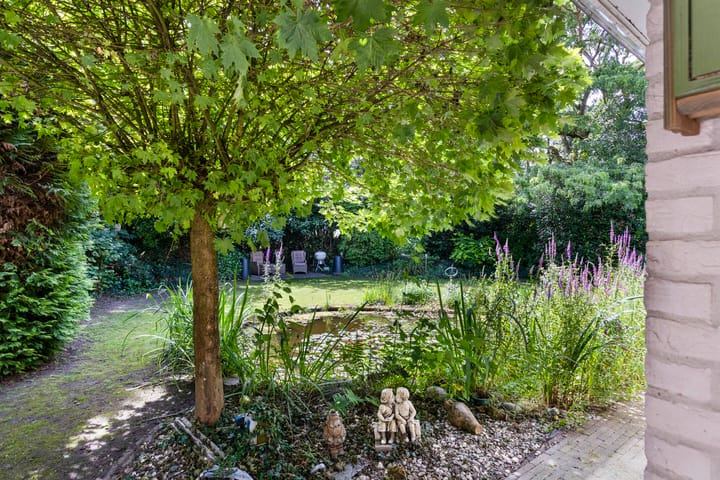 Foto 47 van Distel 17