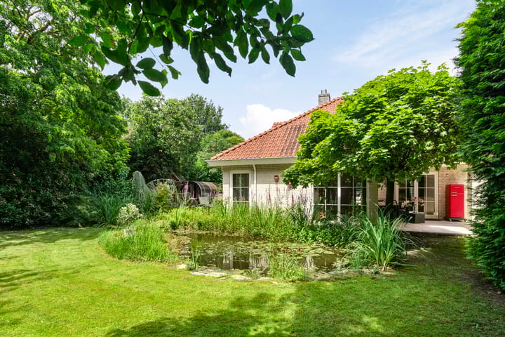 Foto 48 van Distel 17