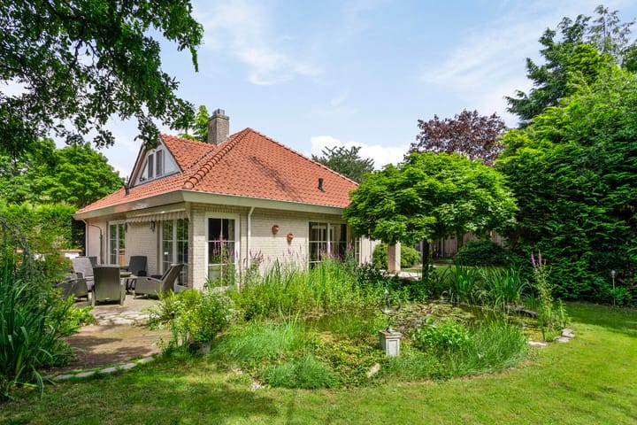 Foto 51 van Distel 17