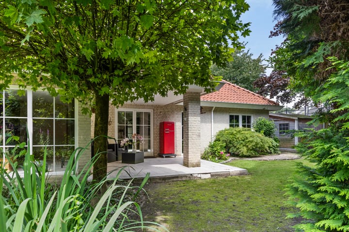 Foto 56 van Distel 17