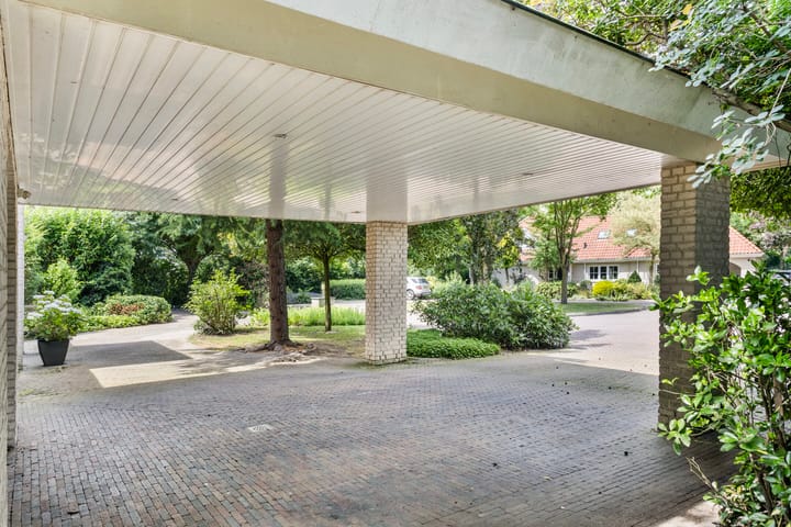 Foto 61 van Distel 17