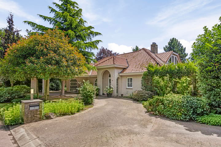 Foto 62 van Distel 17