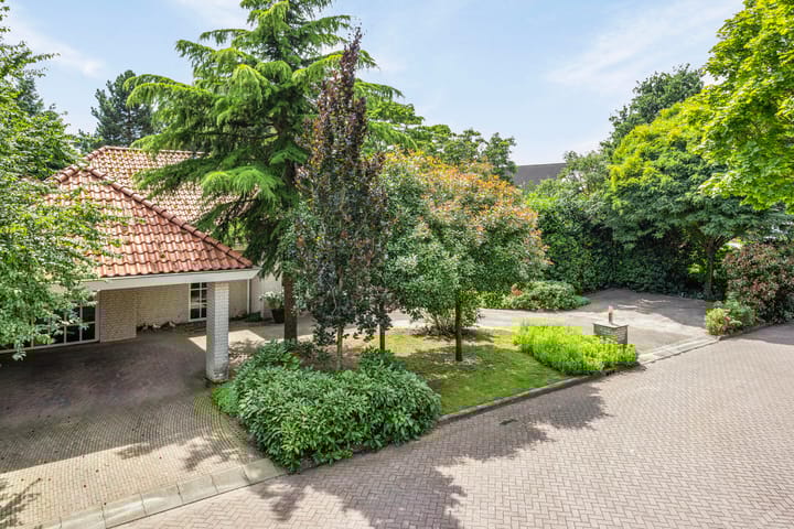 Foto 63 van Distel 17