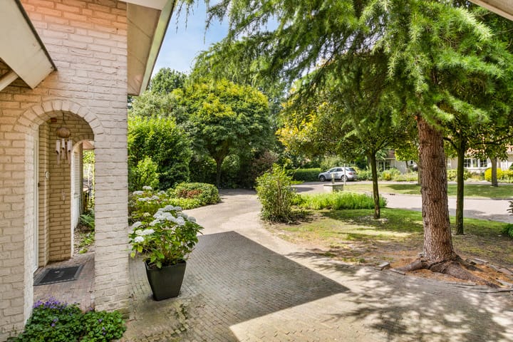 Foto 64 van Distel 17