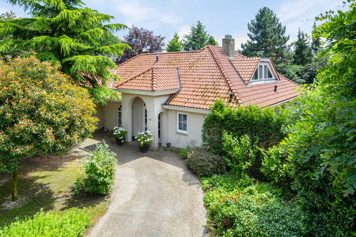 Foto 66 van Distel 17