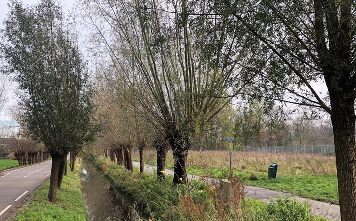 Foto 8 van Thijssepad bouwkavel 1 t/m 4