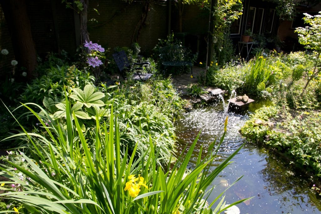 Foto 23 van Thijssepad bouwkavel 1 t/m 4