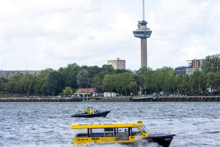 Bekijk foto 30 van Landverhuizersplein 16