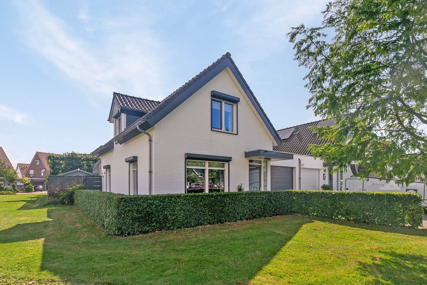 Foto 1 van Tapijtschelp 3