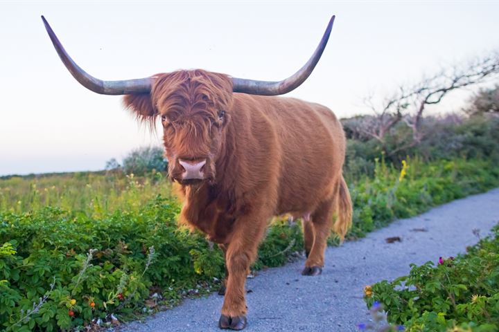 Bekijk foto 47 van Mezenlaan 73