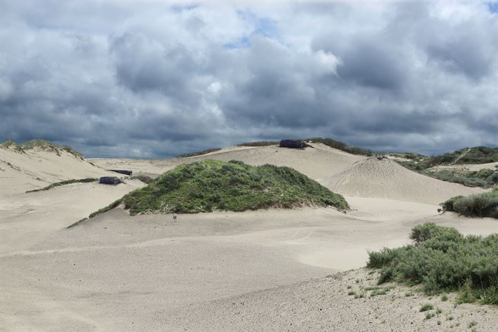 Bekijk foto 49 van Mezenlaan 73