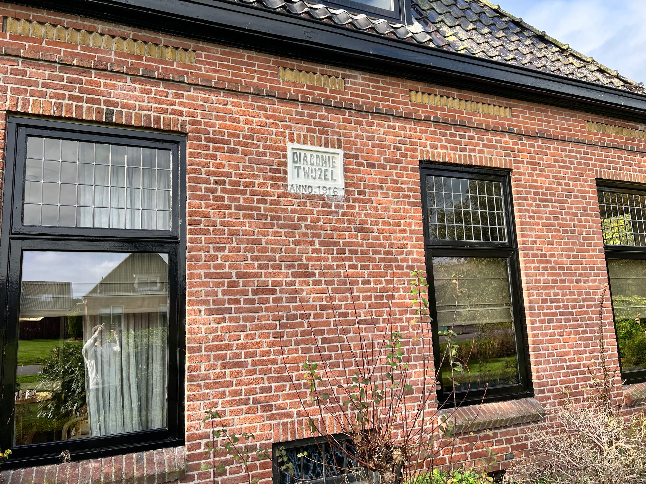 Photo 3 of Wyldpaed (Oast) 23