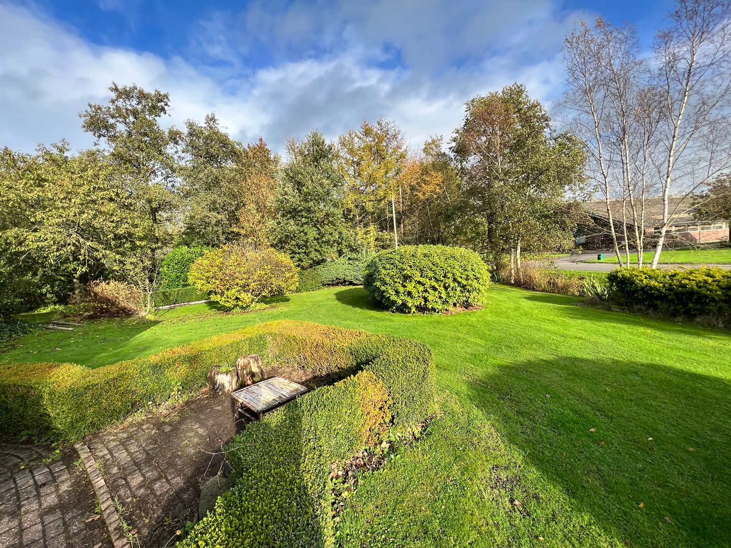 Photo 4 of Wyldpaed (Oast) 23