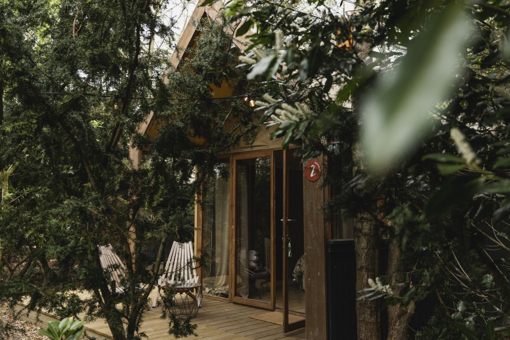 Photo 18 of Wyldpaed (Oast) 23