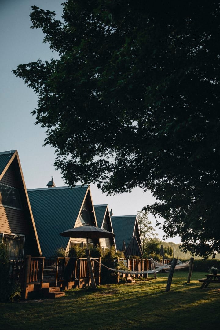 Photo 19 of Wyldpaed (Oast) 23