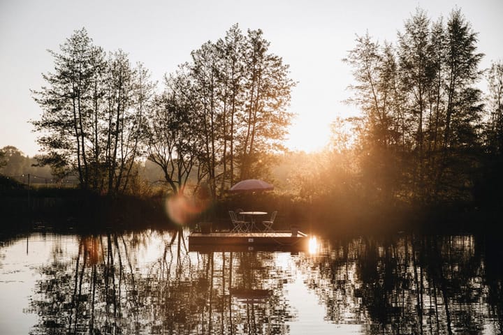 Photo 20 of Wyldpaed (Oast) 23