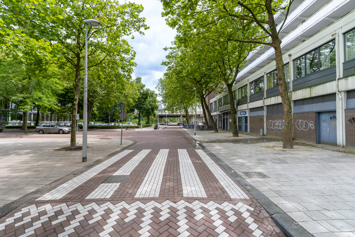 Bekijk foto 31 van Rijswijkstraat 91