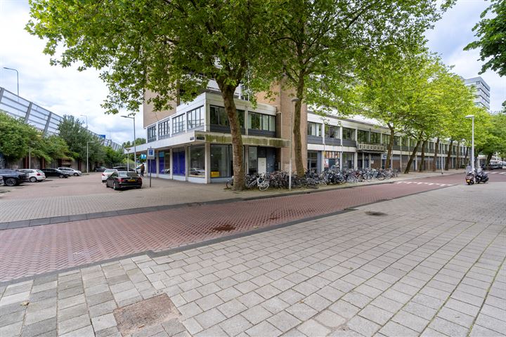 Bekijk foto 32 van Rijswijkstraat 91