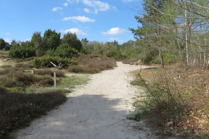 Foto 8 van Uithoornlaan 3