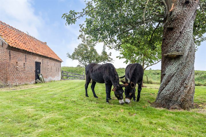 Bekijk foto 2 van Steenhovensedijk 17