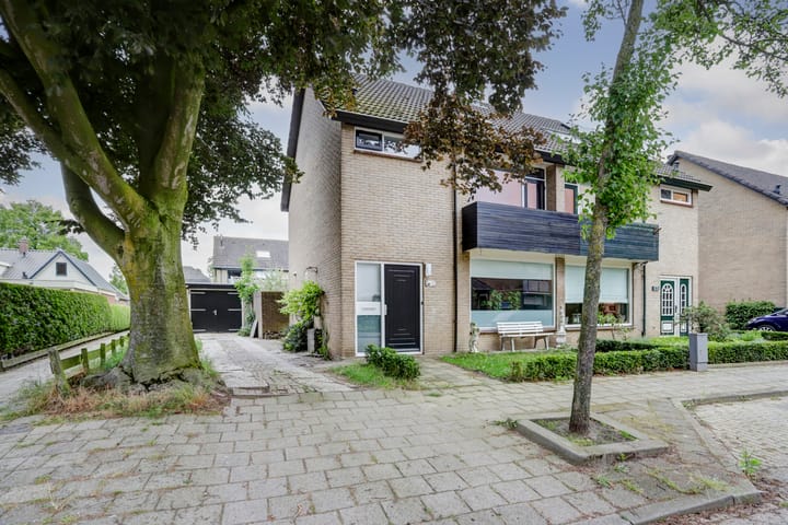 undefined main image