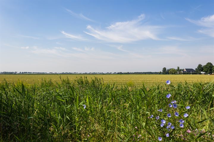 Bekijk foto 33 van Troelstralaan 113