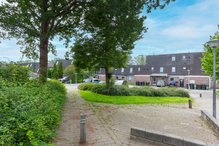 Ridderspoor 32