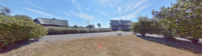 Achtertuin