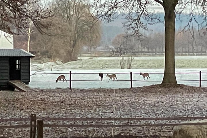 Bekijk foto 59 van Oude Goorseweg 15