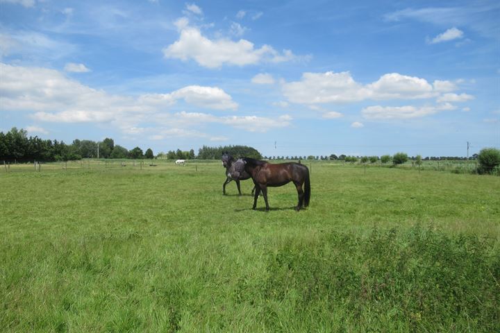 Bekijk foto 45 van Duinweid 14