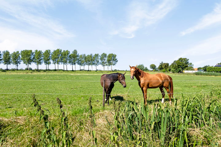 Bekijk foto 3 van Vrouwepolderseweg 5-A