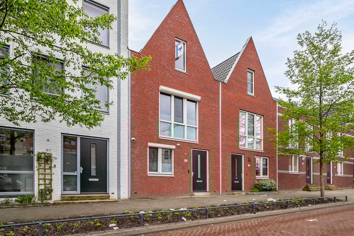 Foto 2 van Bothastraat 87