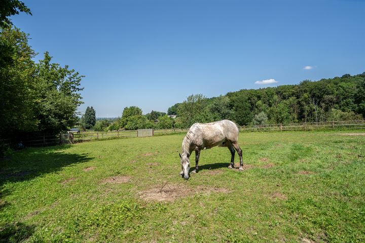 Bekijk foto 53 van Moorveldsberg 31