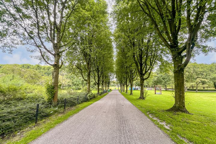 Bekijk foto 18 van Orteliusstraat 322-1