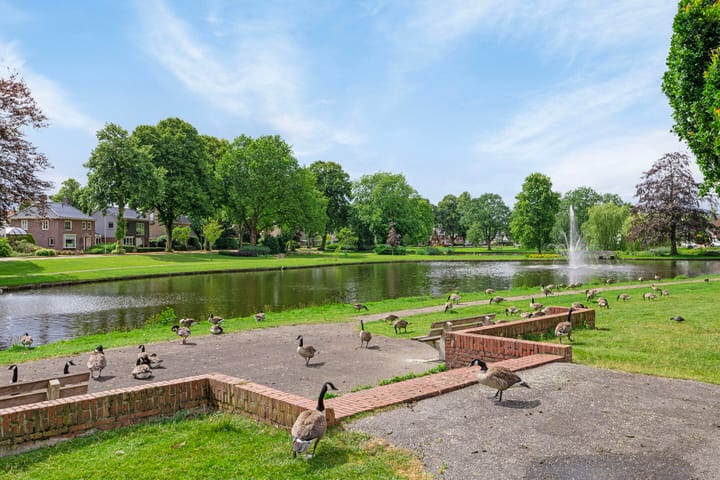 Foto 3 van Zuiderlaan 40