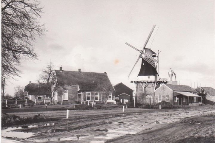 Bekijk foto 5 van Loosterweg 2