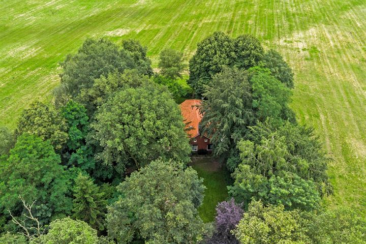 Bekijk foto 16 van Lokstreek 11