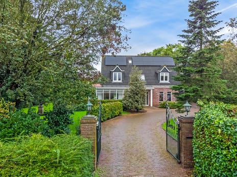 undefined main image