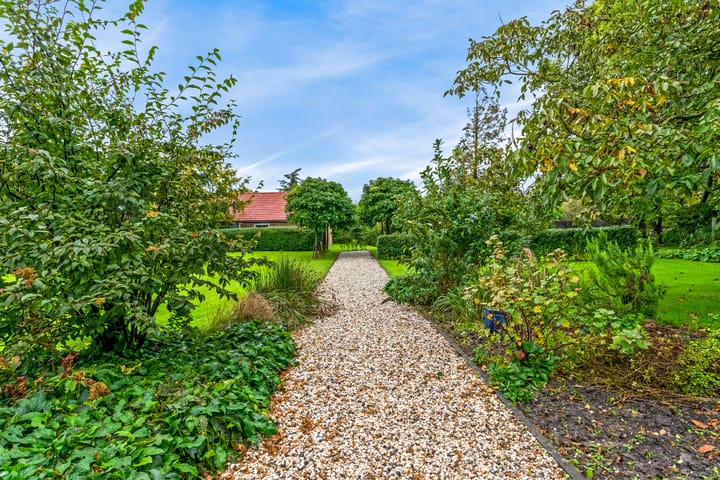 Photo 31 of 't Spinder 6