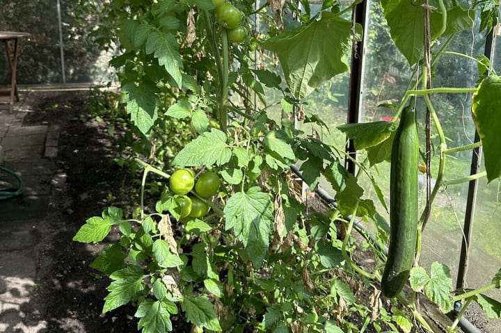 Foto 34 van Kruisweg 27