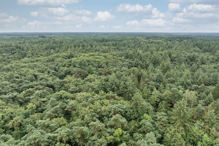 Bekijk foto 45 van Drentseweg 45