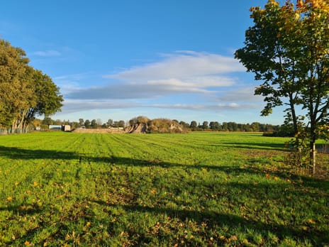 Het Laar