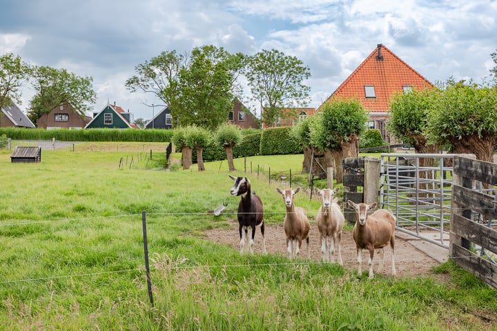 Bekijk foto 31 van Zwarteweg 1