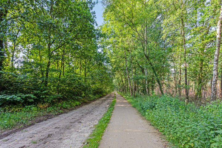 Bekijk foto 28 van Arnhemseweg 100-707