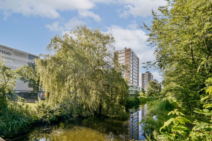 Bekijk foto 26 van Maassluisstraat 38