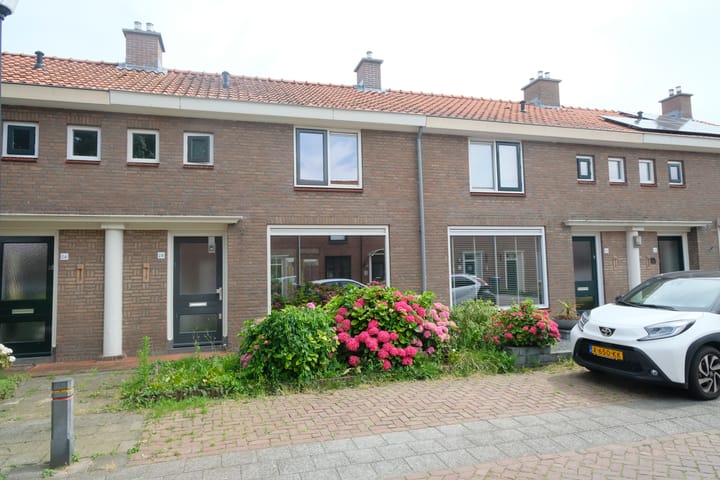 undefined main image