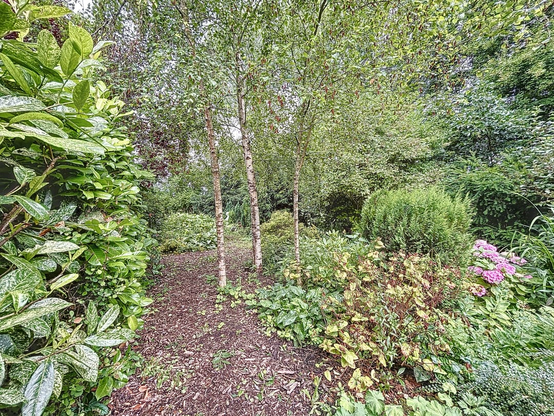 Foto 32 van Nieuwstraat 66