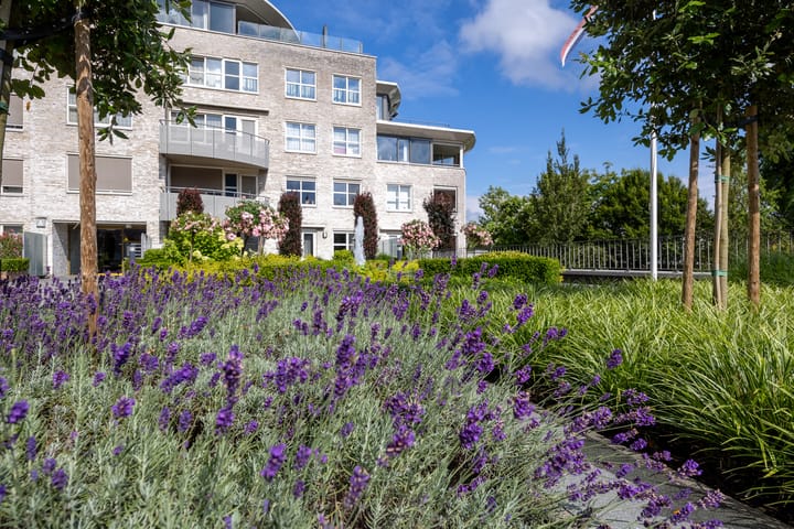 Foto 45 van Moutstraat 91