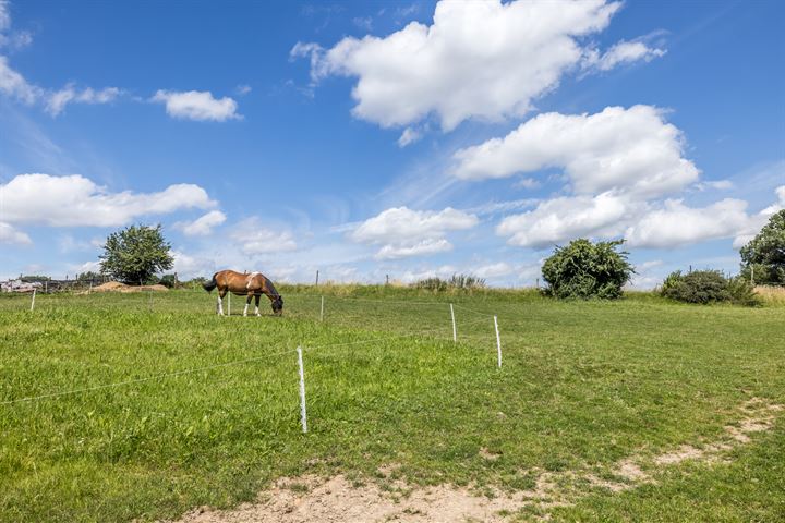 Bekijk foto 42 van Grijzegrubben 46