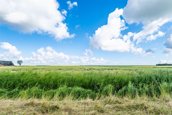 View photo 66 of Nieuwebildtdijk 206